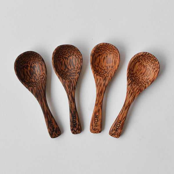 Coconut Wood Short Handle Teaspoon Set - Nom Living